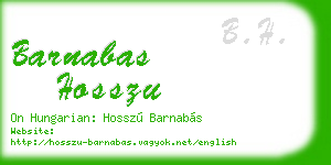 barnabas hosszu business card