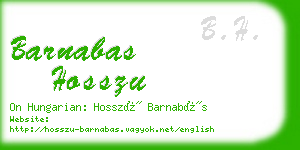 barnabas hosszu business card